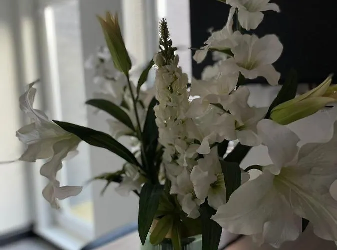 Hébergement de vacances Byelands